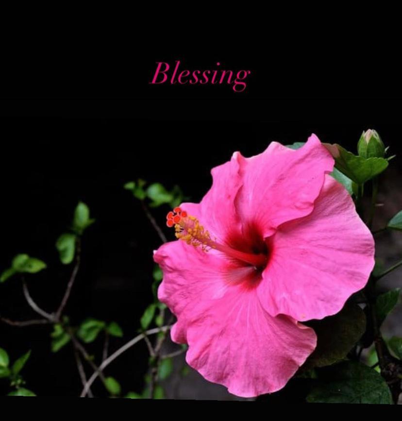 Blessing House Apartment Napoli Exterior foto